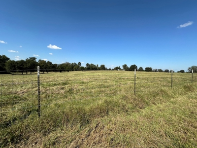 East Texas Ranch For Sale - image 10