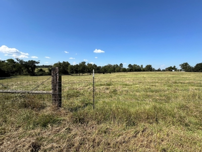 East Texas Ranch For Sale - image 9