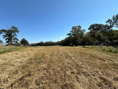 East Texas Ranch For Sale - image 12