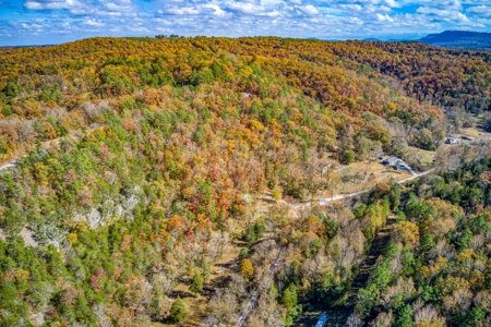 Jasper Newton County Creekside Cabin Buffalo River  For Sale - image 43