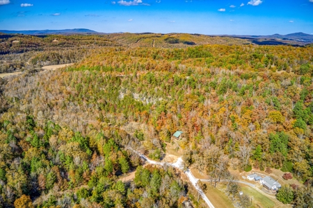 Jasper Newton County Creekside Cabin Buffalo River  For Sale - image 42