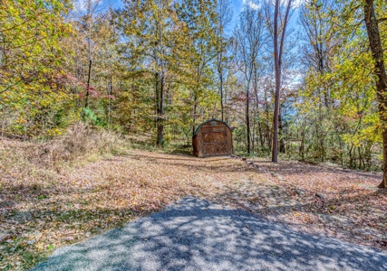 Jasper Newton County Creekside Cabin Buffalo River  For Sale - image 29