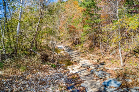 Jasper Newton County Creekside Cabin Buffalo River  For Sale - image 36