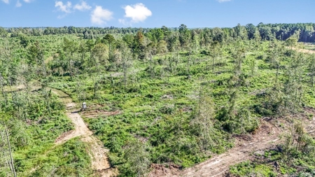 Small Hunting Tract in Amite County, MS - image 25