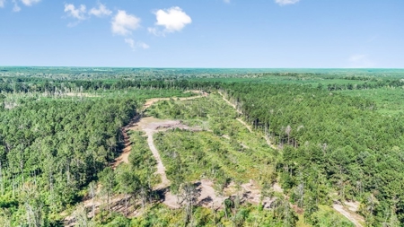 Small Hunting Tract in Amite County, MS - image 24