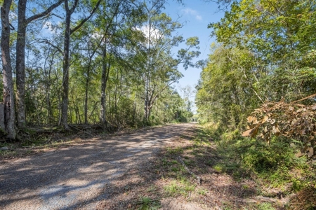 Small Hunting Tract in Amite County, MS - image 16
