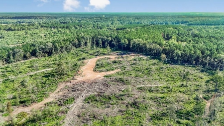 Small Hunting Tract in Amite County, MS - image 1