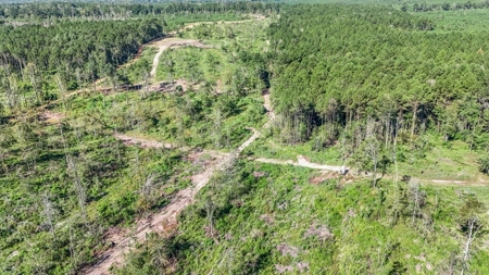 Small Hunting Tract in Amite County, MS - image 26