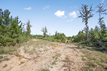 Small Hunting Tract in Amite County, MS - image 17