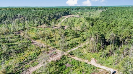 Small Hunting Tract in Amite County, MS - image 27