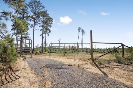 Small Hunting Tract in Amite County, MS - image 19