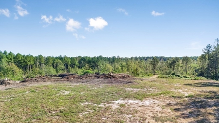 Small Hunting Tract in Amite County, MS - image 20