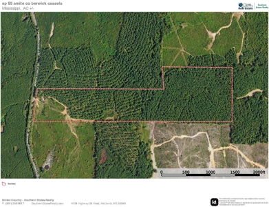 Small Hunting Tract in Amite County, MS - image 30