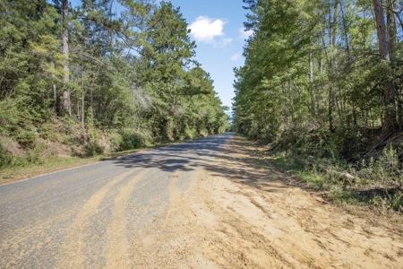 Small Hunting Tract in Amite County, MS - image 18