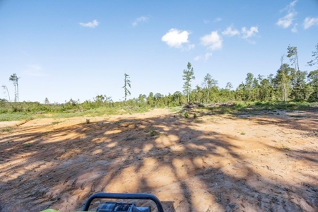 Small Hunting Tract in Amite County, MS - image 6