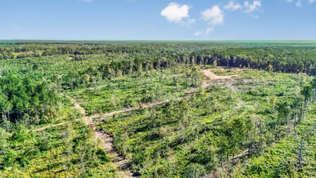 Small Hunting Tract in Amite County, MS - image 22