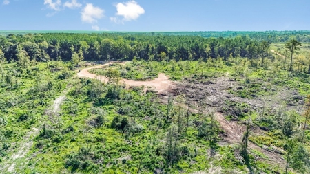 Small Hunting Tract in Amite County, MS - image 28