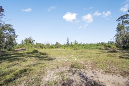 Small Hunting Tract in Amite County, MS - image 15