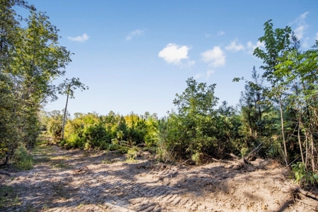 Small Hunting Tract in Amite County, MS - image 14