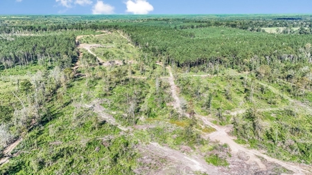 Small Hunting Tract in Amite County, MS - image 23