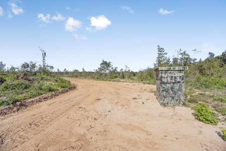 Small Hunting Tract in Amite County, MS - image 7