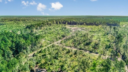 Small Hunting Tract in Amite County, MS - image 21