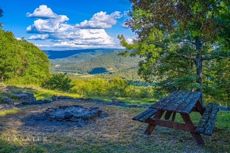 Buffalo River Newton County Jasper Furnished Cabin For Sale - image 8