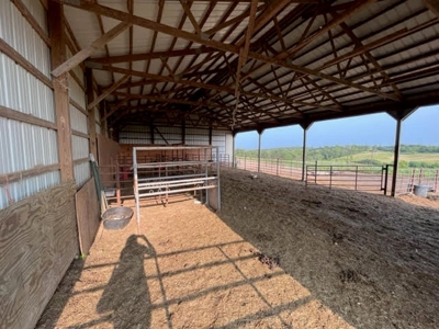 Home and Land For Sale - image 10