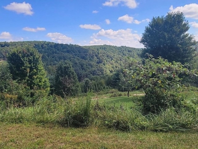 Country Home for Sale in Hillsville, VA! - image 20