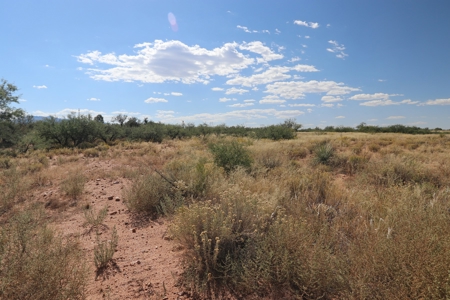 5 Acres in suburban Benson, AZ. - image 2
