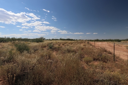 5 Acres in suburban Benson, AZ. - image 3