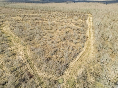 Turnkey Hunting Property in Catahoula Parish - image 19