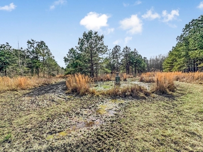 Turnkey Hunting Property in Catahoula Parish - image 38