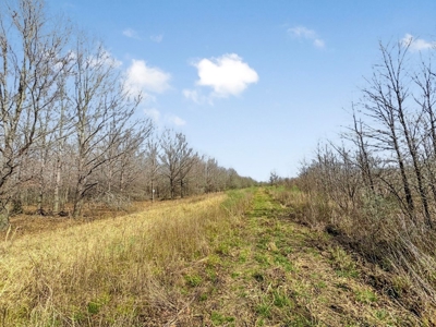 Turnkey Hunting Property in Catahoula Parish - image 39