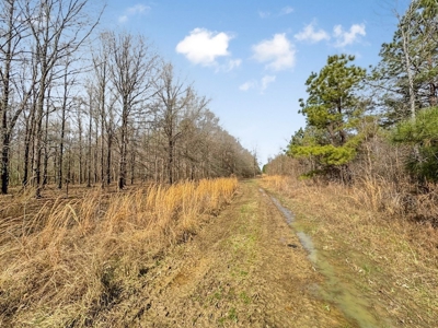 Turnkey Hunting Property in Catahoula Parish - image 36