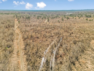 Turnkey Hunting Property in Catahoula Parish - image 18