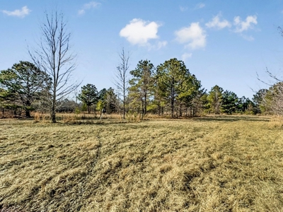 Turnkey Hunting Property in Catahoula Parish - image 48