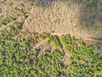 Turnkey Hunting Property in Catahoula Parish - image 33