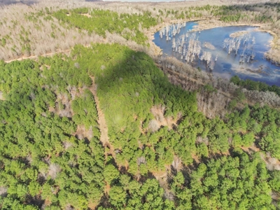 Turnkey Hunting Property in Catahoula Parish - image 31