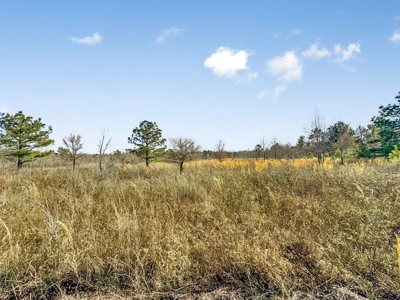 Turnkey Hunting Property in Catahoula Parish - image 50