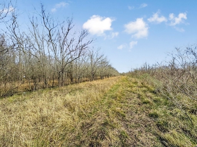 Turnkey Hunting Property in Catahoula Parish - image 40