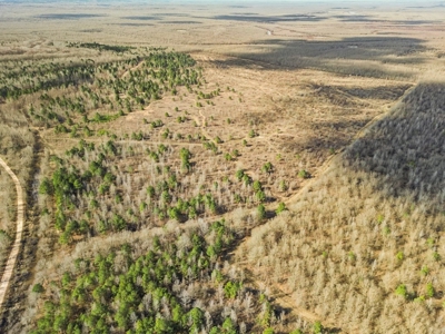 Turnkey Hunting Property in Catahoula Parish - image 34