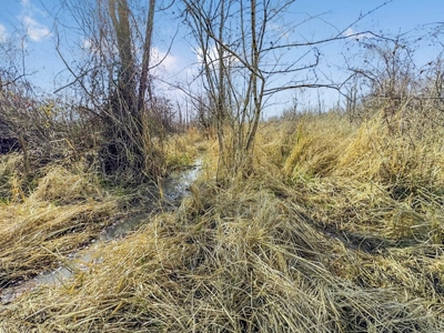 Turnkey Hunting Property in Catahoula Parish - image 41