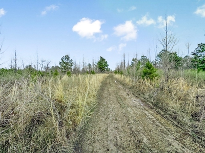 Turnkey Hunting Property in Catahoula Parish - image 45