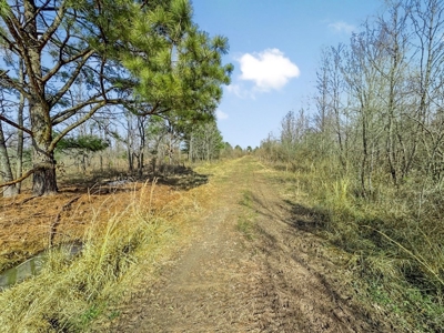 Turnkey Hunting Property in Catahoula Parish - image 46
