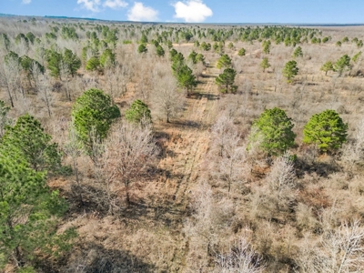 Turnkey Hunting Property in Catahoula Parish - image 26
