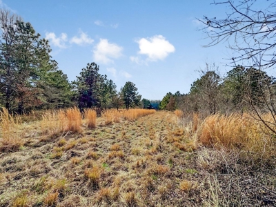 Turnkey Hunting Property in Catahoula Parish - image 37