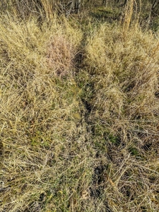 Turnkey Hunting Property in Catahoula Parish - image 42
