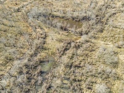 Turnkey Hunting Property in Catahoula Parish - image 20