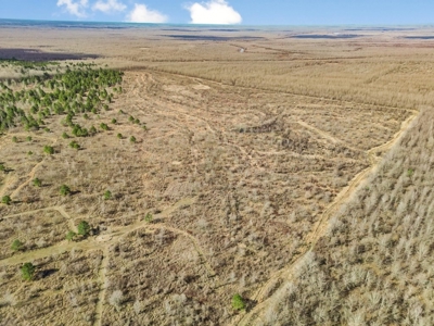 Turnkey Hunting Property in Catahoula Parish - image 29